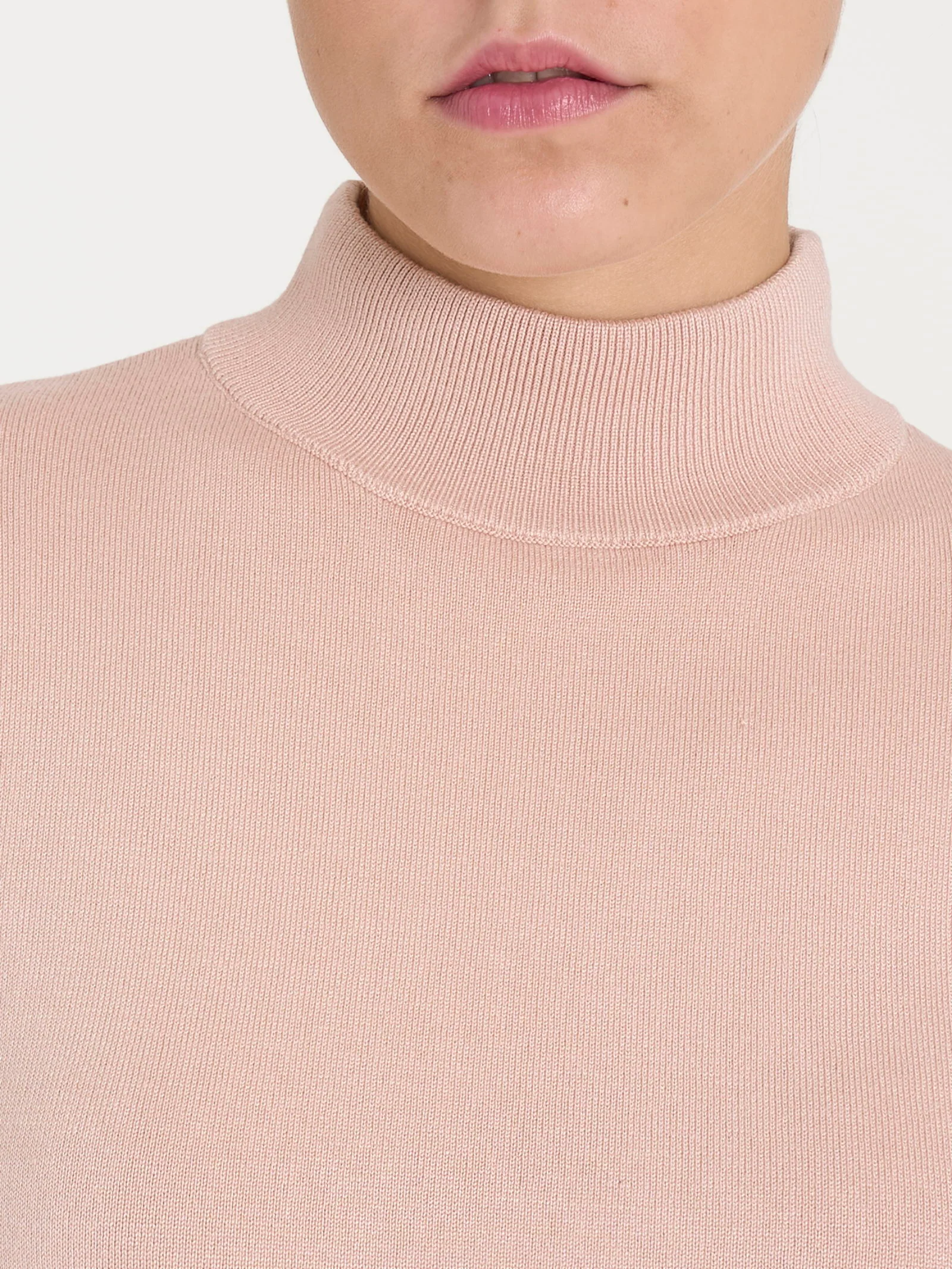 Lupetto Four Seasons - Cameo Rose - Image 3